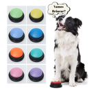 Botão de Comunicação para Cães – Treine Seu Pet a “Falar” com Você